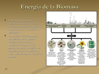 Energía de la Biomasa La biomasa es la materia orgánica de origen vegetal o animal y la obtenida a partir de transformaciones naturales o artificiales. La materia viva (biomasa) es sintetizada por las plantas mediante la fotosíntesis. Mediante este proceso las plantas absorben energía, esta también pasa a los animales y esta se transforma de vegetal en animal. 