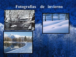Fotografías  de  invierno 