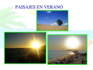 PAISAJES EN VERANO 