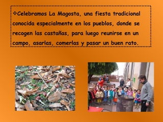 Celebramos La Magosta, una fiesta tradicional conocida especialmente en los pueblos, donde se recogen las castañas, para luego reunirse en un campo, asarlas, comerlas y pasar un buen rato. 