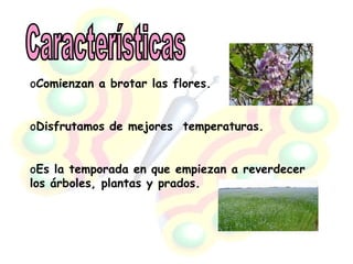 Características Comienzan a brotar las flores. Disfrutamos de mejores  temperaturas. Es la temporada en que empiezan a reverdecer los árboles, plantas y prados. 