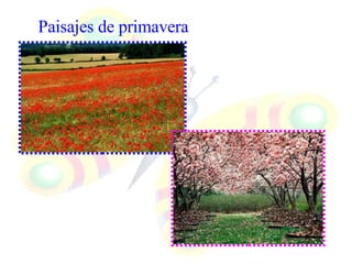 Paisajes de primavera 