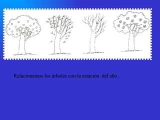 Relacionamos los árboles con la estación  del año . 