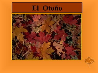 El  Otoño 