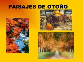 PAISAJES DE OTOÑO 