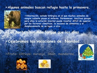 Algunos animales buscan refugio hasta la primavera. Hibernación, estado letárgico en el que muchos animales de sangre caliente pasan el invierno. Permanecen  inactivos porque para ellos la estación invernal puede resultar difícil de superar, por los factores climáticos, la escasez de alimentos y el desplazamiento de un lugar a otro.   Las noches son más largas que los días.  Celebramos las vacaciones de  Navidad.  Fruta: cítricos: naranja, limón, mandarina.... 