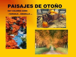PAISAJES DE OTOÑO HAY COLORES COMO : NARANJA , AMARILLO … 
