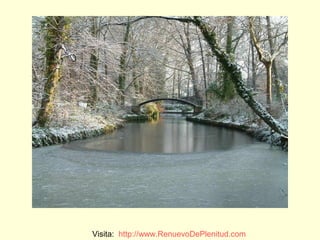 Visita: http://www.RenuevoDePlenitud.com
 