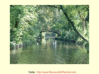 Visita: http://www.RenuevoDePlenitud.com
 