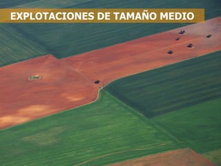 EXPLOTACIONES DE TAMAÑO MEDIO 
