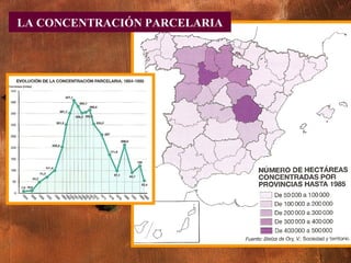 LA CONCENTRACIÓN PARCELARIA p. 151 