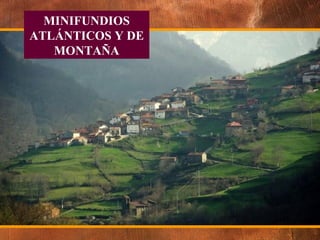 MINIFUNDIOS ATLÁNTICOS Y DE MONTAÑA 
