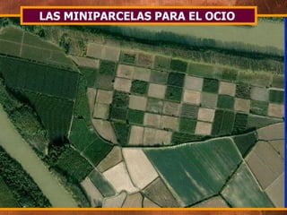 LAS MINIPARCELAS PARA EL OCIO  