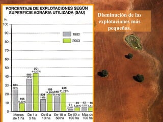 Disminución de las explotaciones más pequeñas. 