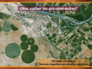 ¿Nos visitan los extraterrestres? Parcelas circulares. Nuevos regadíos con pivotes centrales 