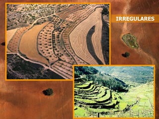 IRREGULARES 