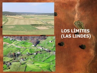 LOS LÍMITES  (LAS LINDES) 