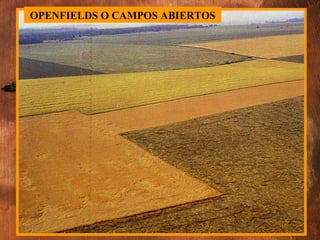 OPENFIELDS O CAMPOS ABIERTOS 