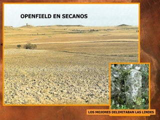OPENFIELD EN SECANOS LOS MOJONES DELIMITABAN LAS LINDES 