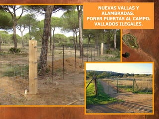 NUEVAS VALLAS Y ALAMBRADAS.  PONER PUERTAS AL CAMPO. VALLADOS ILEGALES. 