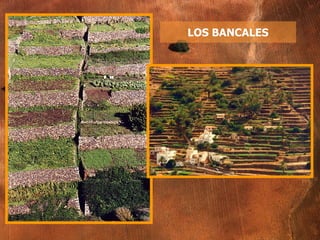 LOS BANCALES 
