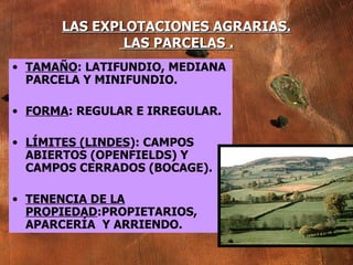 TAMAÑO : LATIFUNDIO, MEDIANA PARCELA Y MINIFUNDIO. FORMA : REGULAR E IRREGULAR. LÍMITES (LINDES ): CAMPOS ABIERTOS (OPENFIELDS) Y CAMPOS CERRADOS (BOCAGE). TENENCIA DE LA PROPIEDAD :PROPIETARIOS, APARCERÍA  Y ARRIENDO. LAS EXPLOTACIONES AGRARIAS.  LAS PARCELAS . 