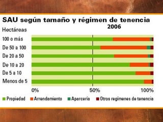 La explotación de la tierra en función a la propiedad y el tamaño. 2006 