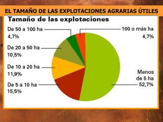 EL TAMAÑO DE LAS EXPLOTACIONES AGRARIAS ÚTILES 