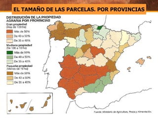 EL TAMAÑO DE LAS PARCELAS. POR PROVINCIAS 