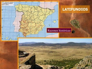 LATIFUNDIOS Razones históricas 