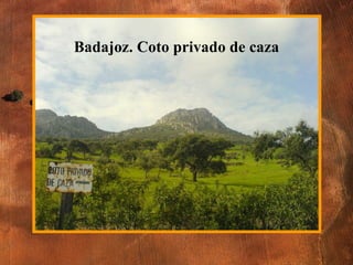 Badajoz. Coto privado de caza 