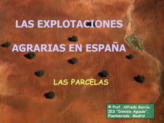 LAS EXPLOTACIONES  AGRARIAS EN ESPAÑA  © Prof. Alfredo García. IES “Dionisio Aguado”, Fuenlabrada, Madrid LAS PARCELAS 