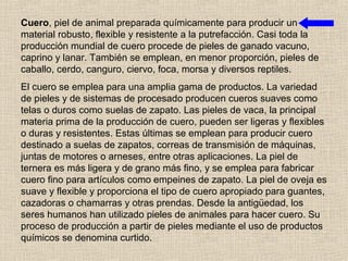 Cuero, piel de animal preparada químicamente para producir un
material robusto, flexible y resistente a la putrefacción. Casi toda la
producción mundial de cuero procede de pieles de ganado vacuno,
caprino y lanar. También se emplean, en menor proporción, pieles de
caballo, cerdo, canguro, ciervo, foca, morsa y diversos reptiles.
El cuero se emplea para una amplia gama de productos. La variedad
de pieles y de sistemas de procesado producen cueros suaves como
telas o duros como suelas de zapato. Las pieles de vaca, la principal
materia prima de la producción de cuero, pueden ser ligeras y flexibles
o duras y resistentes. Estas últimas se emplean para producir cuero
destinado a suelas de zapatos, correas de transmisión de máquinas,
juntas de motores o arneses, entre otras aplicaciones. La piel de
ternera es más ligera y de grano más fino, y se emplea para fabricar
cuero fino para artículos como empeines de zapato. La piel de oveja es
suave y flexible y proporciona el tipo de cuero apropiado para guantes,
cazadoras o chamarras y otras prendas. Desde la antigüedad, los
seres humanos han utilizado pieles de animales para hacer cuero. Su
proceso de producción a partir de pieles mediante el uso de productos
químicos se denomina curtido.
 