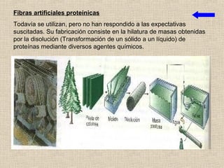 Fibras artificiales proteínicas
Todavía se utilizan, pero no han respondido a las expectativas
suscitadas. Su fabricación consiste en la hilatura de masas obtenidas
por la disolución (Transformación de un sólido a un líquido) de
proteínas mediante diversos agentes químicos.
 