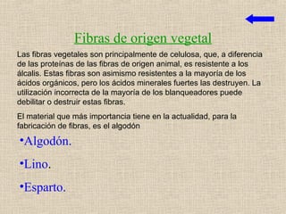 Fibras de origen vegetal
Las fibras vegetales son principalmente de celulosa, que, a diferencia
de las proteínas de las fibras de origen animal, es resistente a los
álcalis. Estas fibras son asimismo resistentes a la mayoría de los
ácidos orgánicos, pero los ácidos minerales fuertes las destruyen. La
utilización incorrecta de la mayoría de los blanqueadores puede
debilitar o destruir estas fibras.
El material que más importancia tiene en la actualidad, para la
fabricación de fibras, es el algodón
•Algodón.
•Lino.
•Esparto.
 