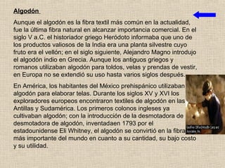 Algodón
Aunque el algodón es la fibra textil más común en la actualidad,
fue la última fibra natural en alcanzar importancia comercial. En el
siglo V a.C. el historiador griego Heródoto informaba que uno de
los productos valiosos de la India era una planta silvestre cuyo
fruto era el vellón; en el siglo siguiente, Alejandro Magno introdujo
el algodón indio en Grecia. Aunque los antiguos griegos y
romanos utilizaban algodón para toldos, velas y prendas de vestir,
en Europa no se extendió su uso hasta varios siglos después.
En América, los habitantes del México prehispánico utilizaban
algodón para elaborar telas. Durante los siglos XV y XVI los
exploradores europeos encontraron textiles de algodón en las
Antillas y Sudamérica. Los primeros colonos ingleses ya
cultivaban algodón; con la introducción de la desmotadora de
desmotadora de algodón, inventadaen 1793 por el
estadounidense Eli Whitney, el algodón se convirtió en la fibra
más importante del mundo en cuanto a su cantidad, su bajo costo
y su utilidad.
 