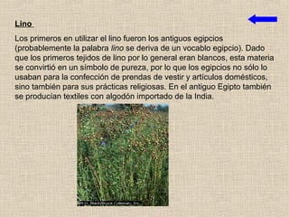 Lino
Los primeros en utilizar el lino fueron los antiguos egipcios
(probablemente la palabra lino se deriva de un vocablo egipcio). Dado
que los primeros tejidos de lino por lo general eran blancos, esta materia
se convirtió en un símbolo de pureza, por lo que los egipcios no sólo lo
usaban para la confección de prendas de vestir y artículos domésticos,
sino también para sus prácticas religiosas. En el antiguo Egipto también
se producían textiles con algodón importado de la India.
 
