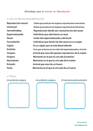 Actividades para la Función de Reproducción
1- Une con flechas estas definiciones.
Reproducción sexual Célula que producen los órganos reproductores masculinos
Unisexual Célula que producen los órganos reproductores femeninos
Hermafroditas Reproducción donde son necesarios los dos sexos
Espermatozoide Individuos que sólo tienen un sexo
Óvulo Unión del espermatozoide y del óvulo
Fecundación Individuos que tienen los dos sexos en su cuerpo
Cigoto Es un cigoto que se está desarrollando
Embrión Es lo que se forma con la unión del espermatozoide y el óvulo
Vivíparo Animal que nace del aparato reproductor de la madre
Ovíparo Momento en el que la cría sale al exterior
Nacimiento Momento en el que la cría sale de la madre
Eclosión Animal que nace de un huevo
Parto Momento en el que la cría sale de un huevo
2- Dibuja:
Un embrión ovíparo Un embrión vivíparo El momento de la eclosión
Carmen Cañuelo
www.ladislexia.net
 
