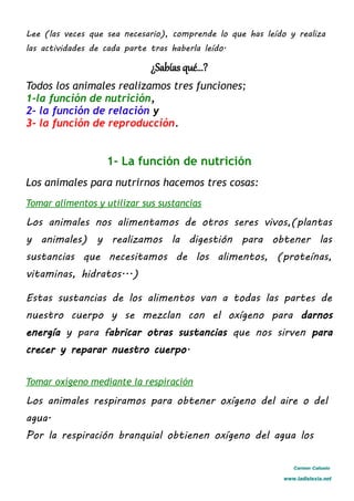 Lee (las veces que sea necesario), comprende lo que has leído y realiza
las actividades de cada parte tras haberla leído.
¿Sabías qué...?
Todos los animales realizamos tres funciones;
1-la función de nutrición,
2- la función de relación y
3- la función de reproducción.
1- La función de nutrición
Los animales para nutrirnos hacemos tres cosas:
Tomar alimentos y utilizar sus sustancias
Los animales nos alimentamos de otros seres vivos,(plantas
y animales) y realizamos la digestión para obtener las
sustancias que necesitamos de los alimentos, (proteínas,
vitaminas, hidratos...)
Estas sustancias de los alimentos van a todas las partes de
nuestro cuerpo y se mezclan con el oxígeno para darnos
energía y para fabricar otras sustancias que nos sirven para
crecer y reparar nuestro cuerpo.
Tomar oxígeno mediante la respiración
Los animales respiramos para obtener oxígeno del aire o del
agua.
Por la respiración branquial obtienen oxígeno del agua los
Carmen Cañuelo
www.ladislexia.net
 