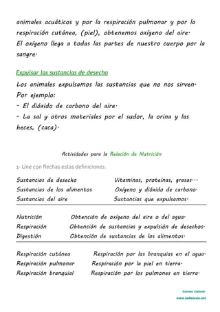 animales acuáticos y por la respiración pulmonar y por la
respiración cutánea, (piel), obtenemos oxígeno del aire.
El oxígeno llega a todas las partes de nuestro cuerpo por la
sangre.
Expulsar las sustancias de desecho
Los animales expulsamos las sustancias que no nos sirven.
Por ejemplo:
- El dióxido de carbono del aire.
- La sal y otros materiales por el sudor, la orina y las
heces, (caca).
Actividades para la Relación de Nutrición
1- Une con flechas estas definiciones.
Sustancias de desecho Vitaminas, proteínas, grasas...
Sustancias de los alimentos Oxígeno y dióxido de carbono.
Sustancias del aire Sustancias que expulsamos.
Nutrición Obtención de oxígeno del aire o del agua.
Respiración Obtención de sustancias y expulsión de desechos.
Digestión Obtención de sustancias de los alimentos.
Respiración cutánea Respiración por las branquias en el agua.
Respiración pulmonar Respiración por la piel en tierra.
Respiración branquial Respiración por los pulmones en tierra.
Carmen Cañuelo
www.ladislexia.net
 
