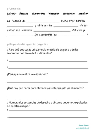2- Completa:
oxígeno desecho alimentarse nutrición sustancias expulsar
La función de ________________________ tiene tres partes:
___________________ y obtener las __________________ de los
alimentos, obtener ___________________________ del aire y
___________________ las sustancias de ____________________ .
3- Responde a las siguientes preguntas.
¿ Para qué dos cosas utilizamos la mezcla de oxígeno y de las
sustancias nutritivas de los alimentos?
1 ________________________________________________________
2_________________________________________________________
¿Para que se realiza la respiración?
__________________________________________________________
¿Qué hay que hacer para obtener las sustancias de los alimentos?
¿ Nombra dos sustancias de desecho y dí como podemos expulsarlas
de nuestro cuerpo?
1 ________________________________________________________
2_________________________________________________________
Carmen Cañuelo
www.ladislexia.net
 
