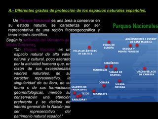 A.- Diferentes grados de protección de los espacios naturales españoles. Un  Parque Nacional  es una área a conservar en su estado natural, se caracteriza por ser representativa de una región fitozoogeográfica y tener interés científico. Parques Nacionales Según la  definición del Ministerio de Medio Ambiente ,  "Un  Parque Nacional  es un espacio natural de alto valor natural y cultural, poco alterado por la actividad humana que, en razón de sus excepcionales valores naturales, de su carácter representativo, la singularidad de su flora, de su fauna o de sus formaciones geomorfológicas, merece su conservación una atención preferente y se declara de interés general de la Nación por ser representativo del patrimonio natural español."   