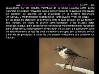 Las  Zonas de especial protección para las aves  (ZEPA), son catalogadas por los estados miembros de la Unión Europea como  zonas naturales de singular relevancia para la conservación de la avifauna amenazada de extinción , de acuerdo con lo establecido en la directiva comunitaria 79/409/CEE y modificaciones subsiguientes («Directiva de Aves» de la UE). En las zonas de protección se prohíbe o limita la caza de aves, en sus fechas y sus técnicas; se regula la posible comercialización; y los estados están obligados a actuar para conservar las condiciones medioambientales requeridas para el descanso, reproducción y alimentación de las aves. La convención parte del reconocimiento de que las aves del territorio europeo son patrimonio común y han de ser protegidas a través de una gestión homogénea que conserve sus hábitats. 