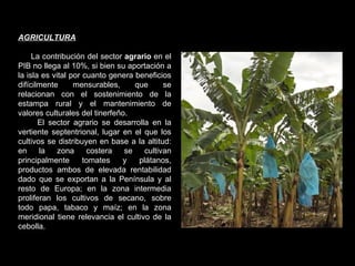 AGRICULTURA La contribución del sector  agrario  en el PIB no llega al 10%, si bien su aportación a la isla es vital por cuanto genera beneficios difícilmente mensurables, que se relacionan con el sostenimiento de la estampa rural y el mantenimiento de valores culturales del tinerfeño. El sector agrario se desarrolla en la vertiente septentrional, lugar en el que los cultivos se distribuyen en base a la altitud: en la zona costera se cultivan principalmente tomates y plátanos, productos ambos de elevada rentabilidad dado que se exportan a la Península y al resto de Europa; en la zona intermedia proliferan los cultivos de secano, sobre todo papa, tabaco y maíz; en la zona meridional tiene relevancia el cultivo de la cebolla. 