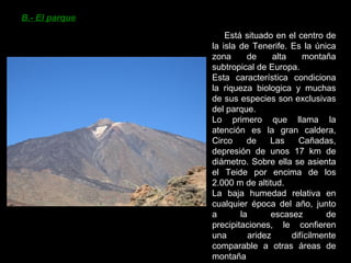 B.- El parque Está situado en el centro de la isla de Tenerife. Es la única zona de alta montaña subtropical de Europa. Esta característica condiciona la riqueza biologica y muchas de sus especies son exclusivas del parque. Lo primero que llama la atención es la gran caldera, Circo de Las Cañadas, depresión de unos 17 km de diámetro. Sobre ella se asienta el Teide por encima de los 2.000 m de altitud. La baja humedad relativa en cualquier época del año, junto a la escasez de precipitaciones, le confieren una aridez difícilmente comparable a otras áreas de montaña 