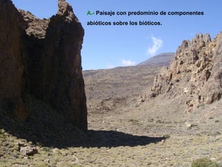 A.-   Paisaje con predominio de componentes  abióticos sobre los bióticos. 
