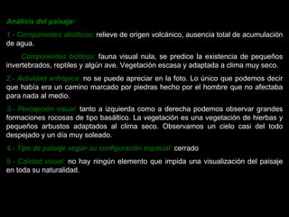 Análisis del paisaje: 1.- Componentes abióticos:  relieve de origen volcánico, ausencia total de acumulación de agua. Componentes bióticos:  fauna visual nula, se predice la existencia de pequeños invertebrados, reptiles y algún ave. Vegetación escasa y adaptada a clima muy seco. 2.- Actividad antrópica:  no se puede apreciar en la foto. Lo único que podemos decir que había era un camino marcado por piedras hecho por el hombre que no afectaba para nada al medio. 3.- Percepción visual:  tanto a izquierda como a derecha podemos observar grandes formaciones rocosas de tipo basáltico. La vegetación es una vegetación de hierbas y pequeños arbustos adaptados al clima seco. Observamos un cielo casi del todo despejado y un día muy soleado. 4.- Tipo de paisaje según su configuración espacial:  cerrado 5.- Calidad visual:  no hay ningún elemento que impida una visualización del paisaje en toda su naturalidad. 