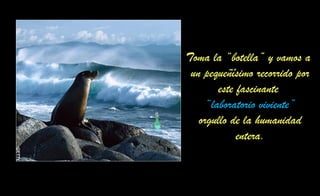 Toma la “botella” y vamos a
un pequeñísimo recorrido por
este fascinante
“laboratorio viviente”
orgullo de la humanidad
entera.
 