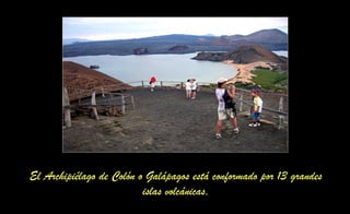 El Archipiélago de Colón o Galápagos está conformado por 13 grandes
islas volcánicas,
 