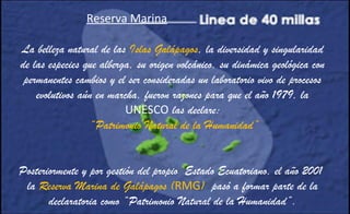 Reserva Marina
La belleza natural de las Islas Galápagos, la diversidad y singularidad
de las especies que alberga, su origen volcánico, su dinámica geológica con
permanentes cambios y el ser consideradas un laboratorio vivo de procesos
evolutivos aún en marcha, fueron razones para que el año 1979, la
UNESCO las declare:
“Patrimonio Natural de la Humanidad”
Posteriormente y por gestión del propio Estado Ecuatoriano, el año 2001
la Reserva Marina de Galápagos (RMG) pasó a formar parte de la
declaratoria como “Patrimonio Natural de la Humanidad”.
 